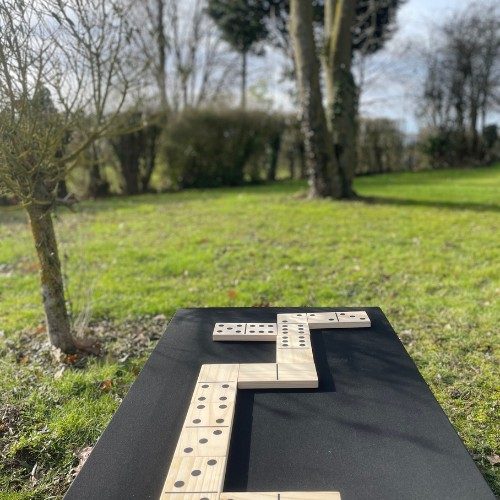 Domino
